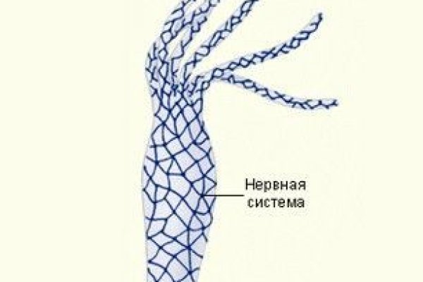 Кракен маркетплейс откуда взялся