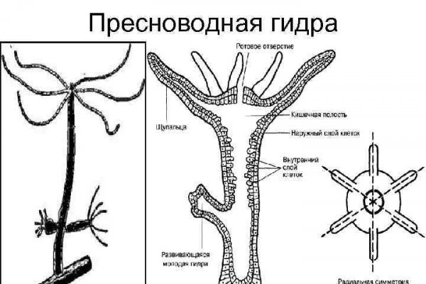 Кракен тор kraken dark