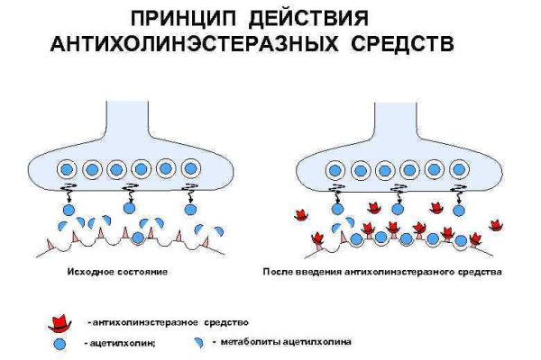 Как попасть на кракен с айфона