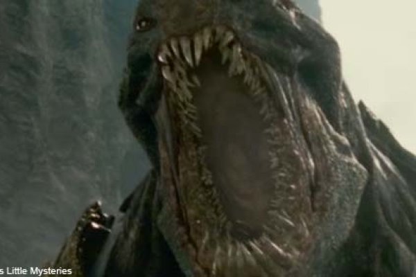 Kraken20 at